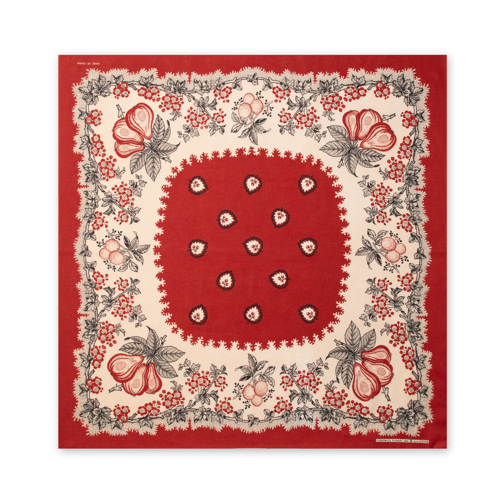 20260215_bandana_01_001_1024x1
